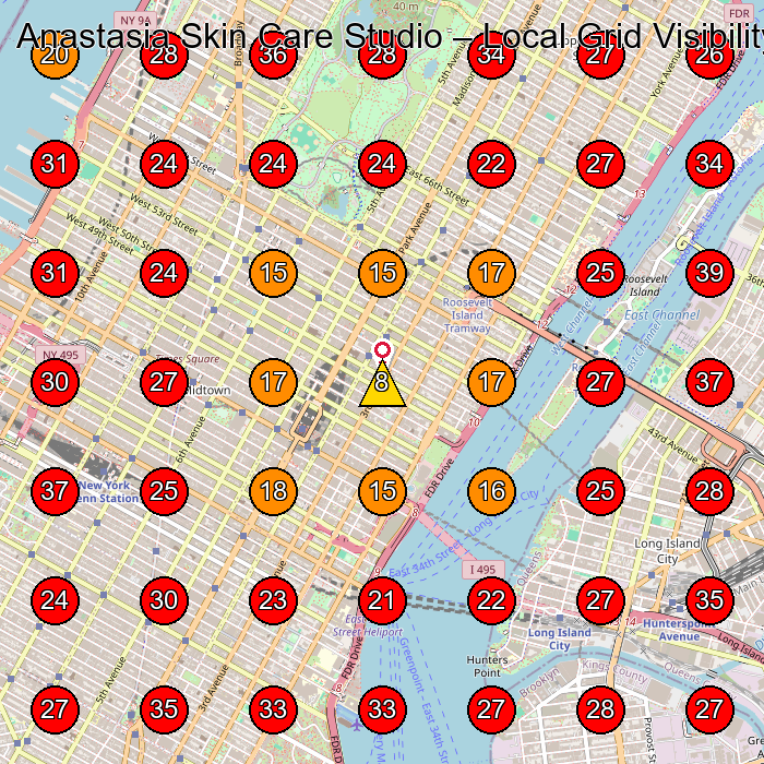 Anastasia Skin Care Studio GeoGrid visibility map for Facial Spa in New York